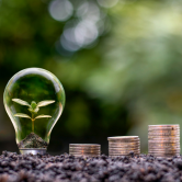 Daring to Innovate